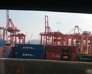 BUSAN CFS